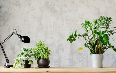 Wallpaper Installation in Roswell, GA
